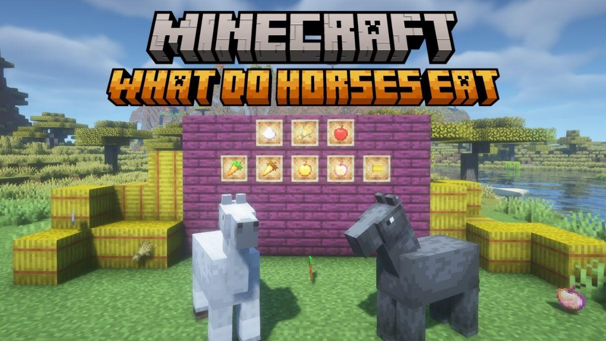 Minecraft Horses: What They Eat to Heal and Thrive