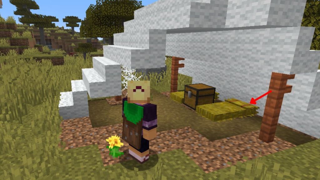 Where to Find Straw Beds in Minecraft Naturally