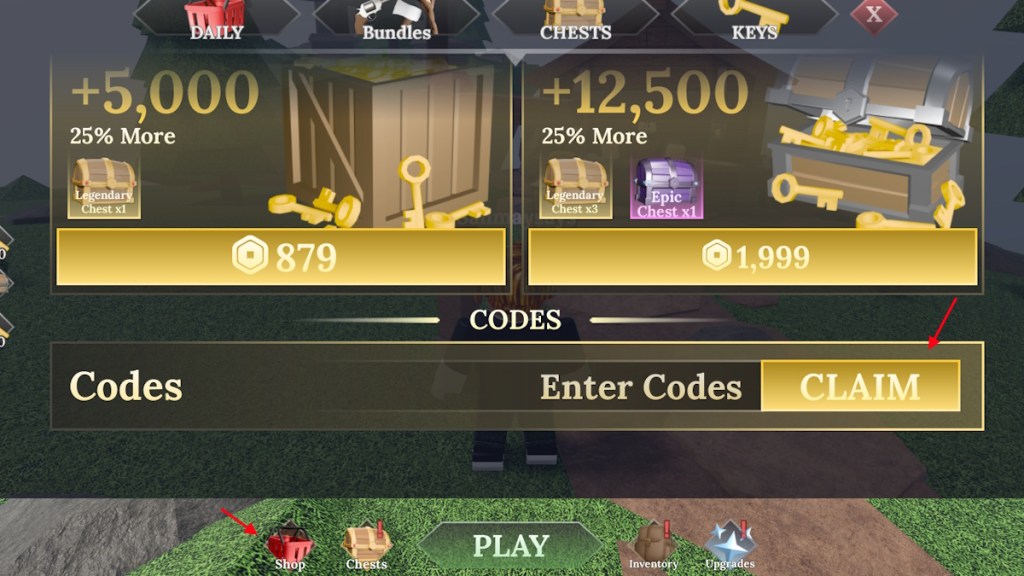 redeem Final Swarm codes