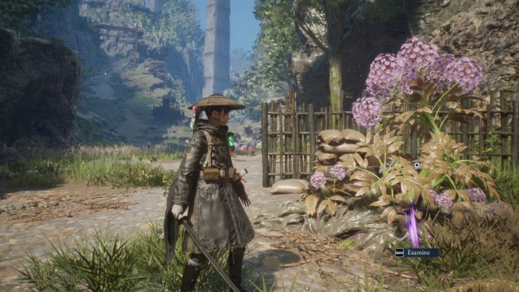 Beast of Reincarnation Landscape