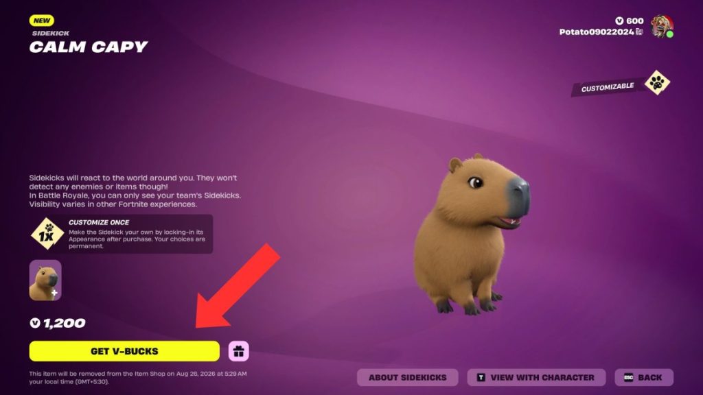 Calm Capy Sidekick in the Fortnite Item Shop