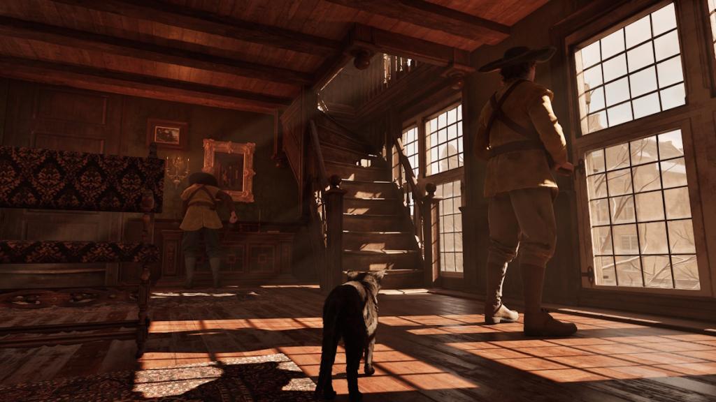 Exploring as Cat