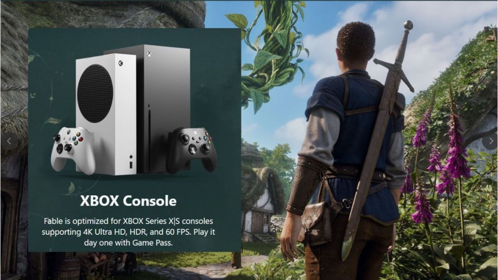 Fable character standing and Xbox console picture on left