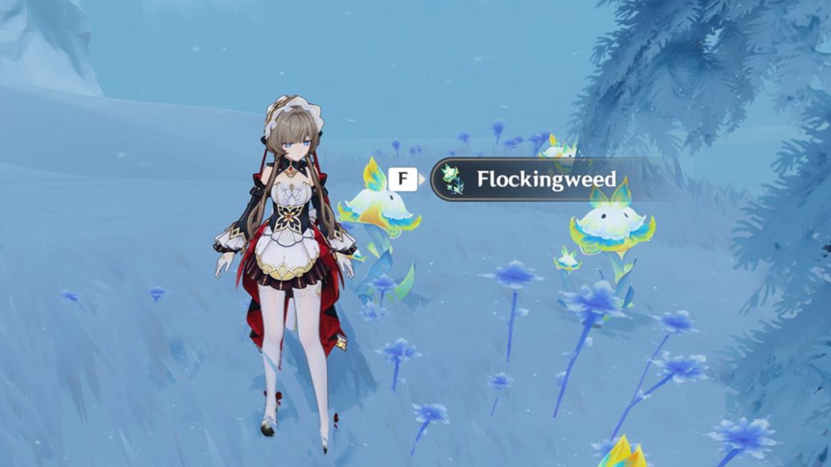 Genshin Impact Flockingweed location and farming route