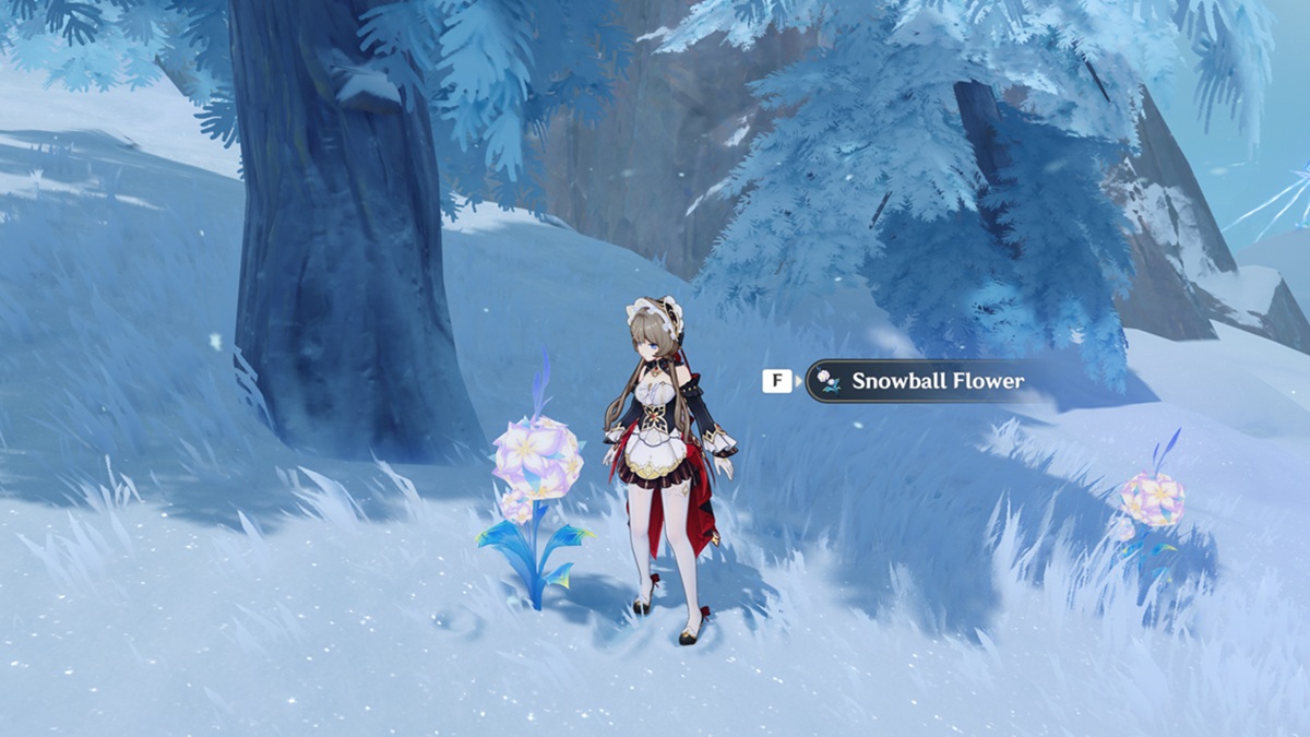 Genshin Impact Snowball Flower locations and farming route