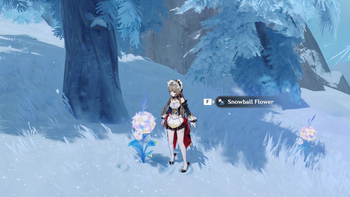 Genshin Impact Snowball Flower locations and farming route