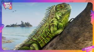 GTA 6's Massive Animal Ecosystem Includes Over 170 Species