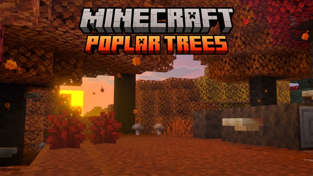 How to Find Minecraft Poplar Trees and Use New Wood Blocks