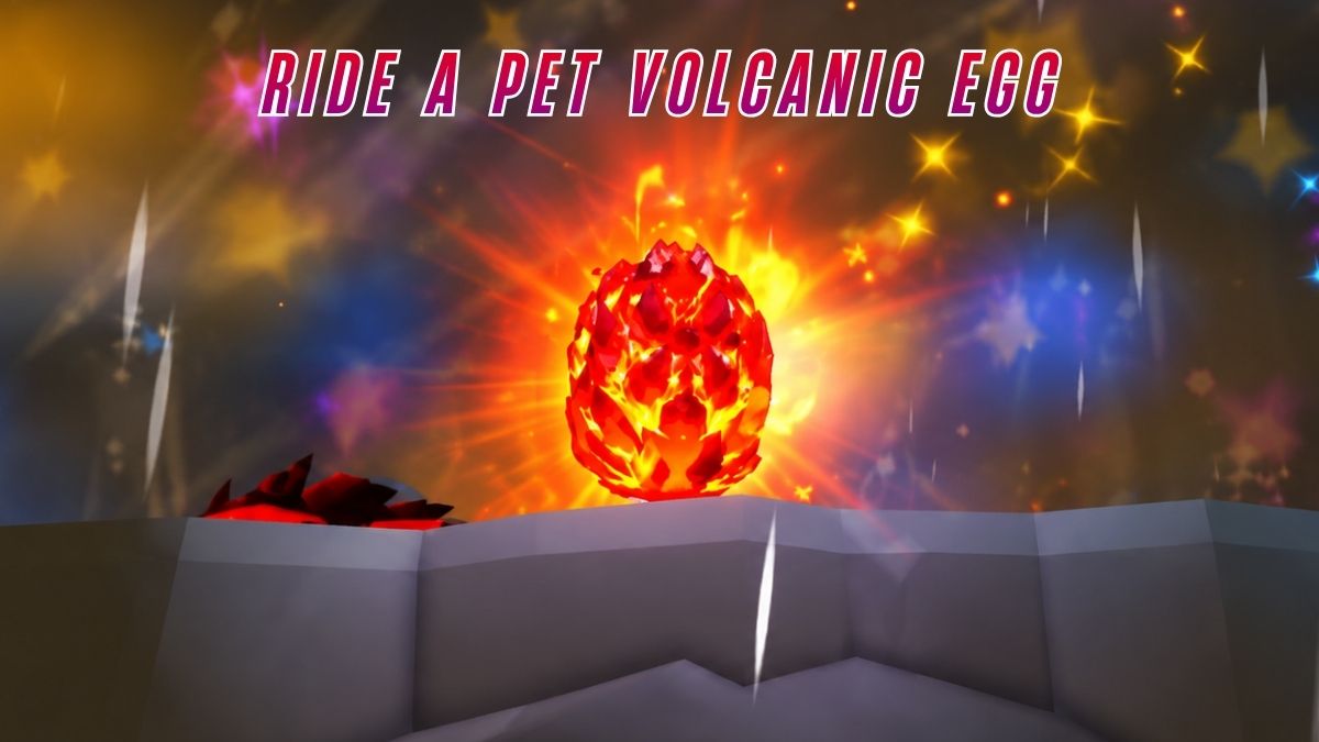 Ride A Pet volcanic egg