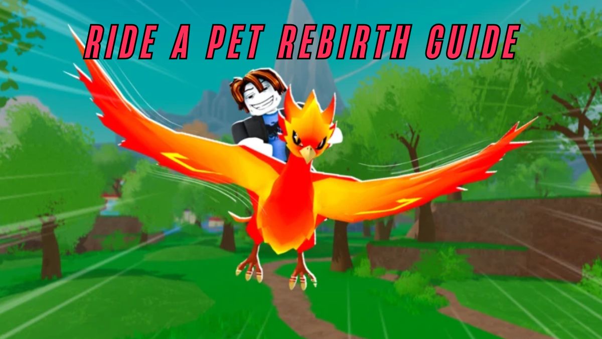 Ride A Pet with Phoenix