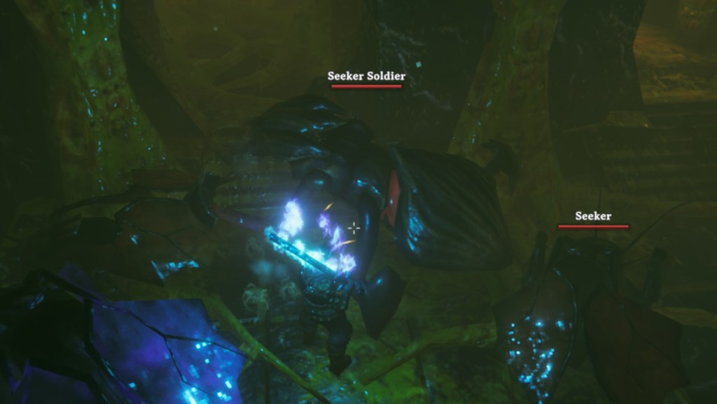 Seeker Soldier Valheim