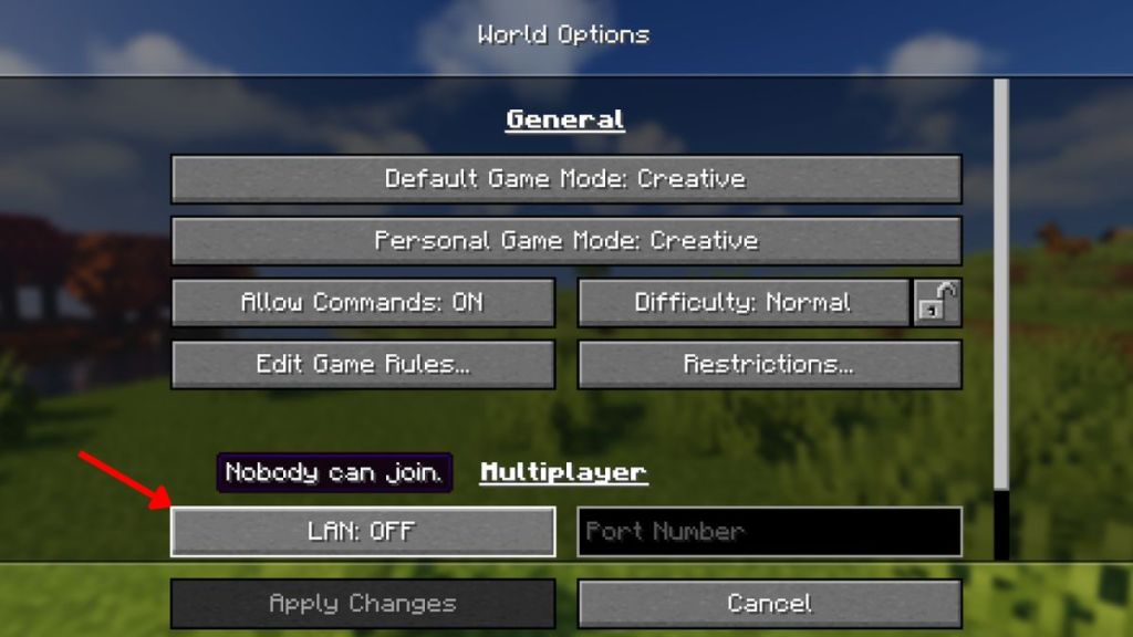 Toggle on LAN for Minecraft Java