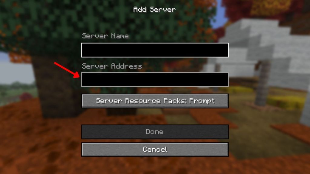 add server address in minecraft java