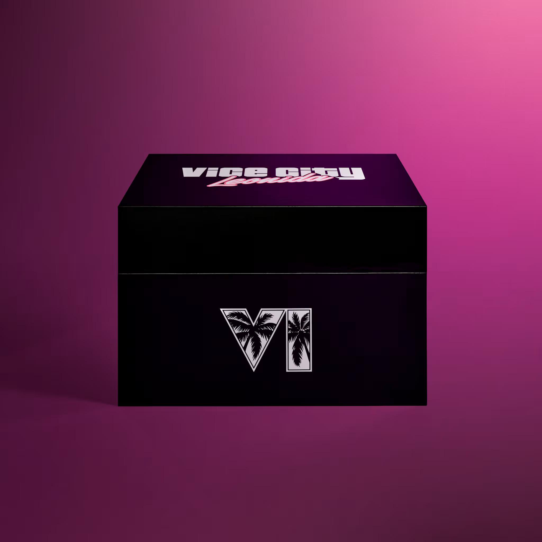 GTA 6 Collector's Edition black box.