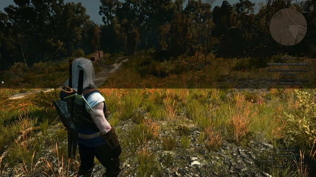 the Witcher 3 console