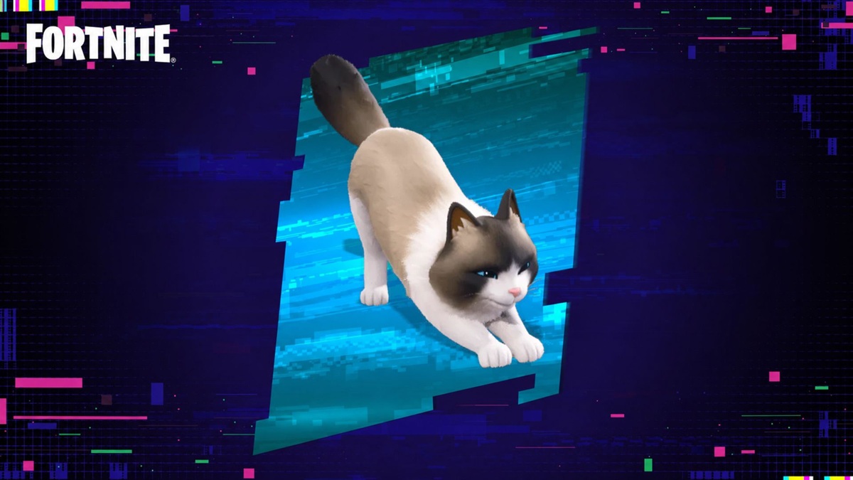 How To Get Fancy Ragdoll Sidekick in Fortnite