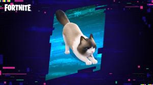 How To Get Fancy Ragdoll Sidekick in Fortnite
